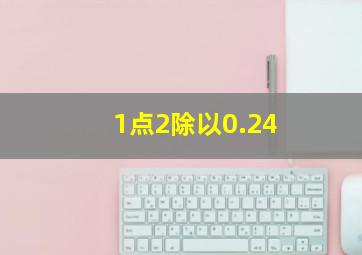 1点2除以0.24