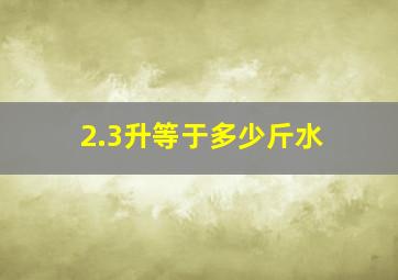 2.3升等于多少斤水