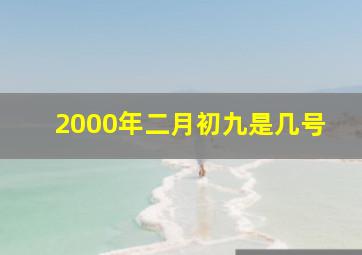 2000年二月初九是几号