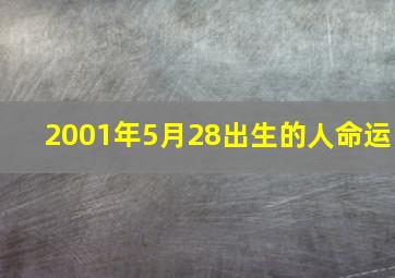 2001年5月28出生的人命运