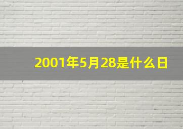 2001年5月28是什么日