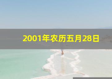 2001年农历五月28日