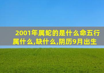 2001年属蛇的是什么命五行属什么,缺什么,阴历9月出生