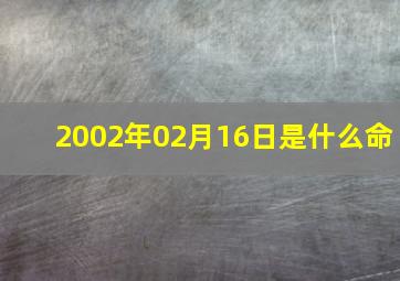 2002年02月16日是什么命