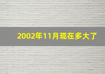 2002年11月现在多大了