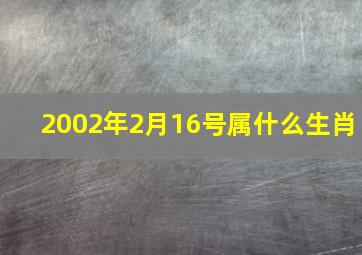 2002年2月16号属什么生肖