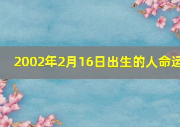 2002年2月16日出生的人命运