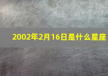 2002年2月16日是什么星座