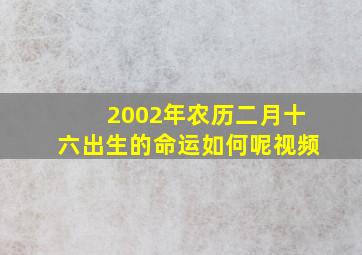 2002年农历二月十六出生的命运如何呢视频