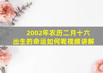 2002年农历二月十六出生的命运如何呢视频讲解