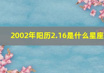 2002年阳历2.16是什么星座