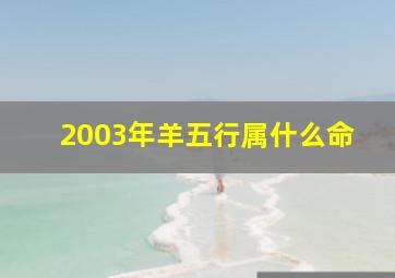 2003年羊五行属什么命