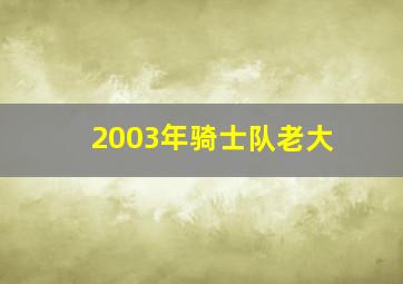 2003年骑士队老大