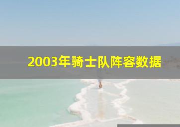 2003年骑士队阵容数据