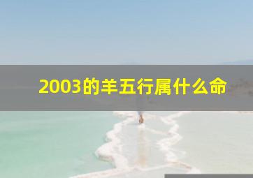 2003的羊五行属什么命