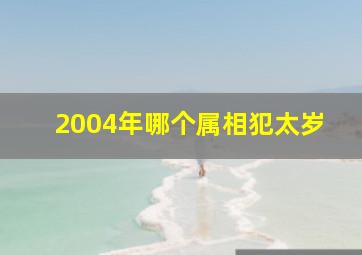 2004年哪个属相犯太岁