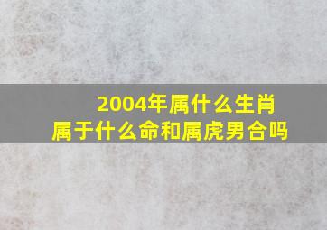 2004年属什么生肖属于什么命和属虎男合吗