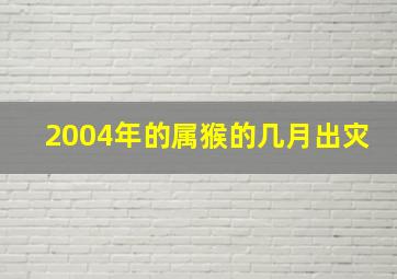 2004年的属猴的几月出灾