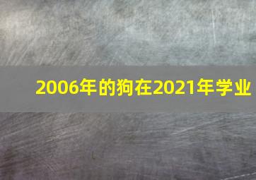 2006年的狗在2021年学业