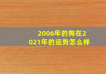 2006年的狗在2021年的运势怎么样