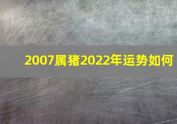 2007属猪2022年运势如何