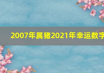 2007年属猪2021年幸运数字