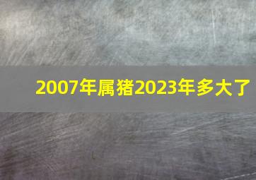 2007年属猪2023年多大了