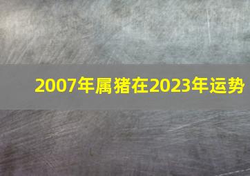 2007年属猪在2023年运势