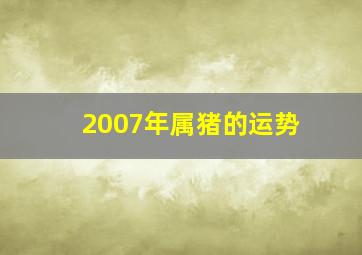 2007年属猪的运势