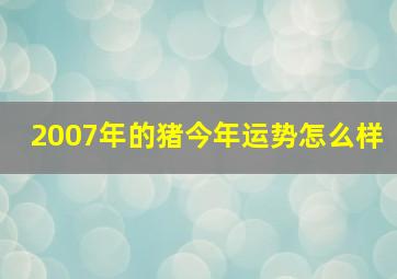 2007年的猪今年运势怎么样