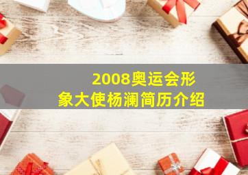 2008奥运会形象大使杨澜简历介绍