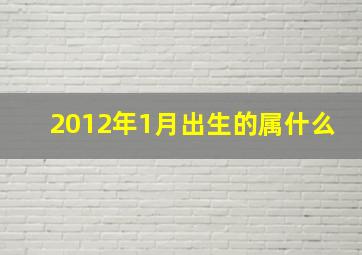 2012年1月出生的属什么