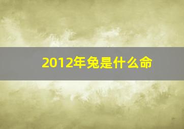 2012年兔是什么命