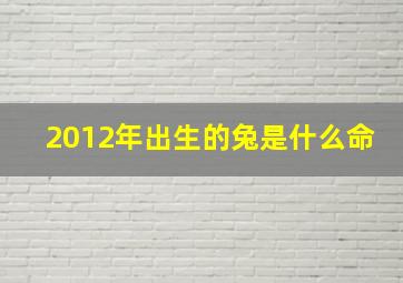 2012年出生的兔是什么命