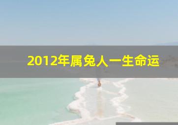 2012年属兔人一生命运