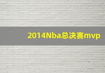 2014Nba总决赛mvp