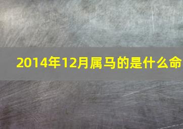 2014年12月属马的是什么命