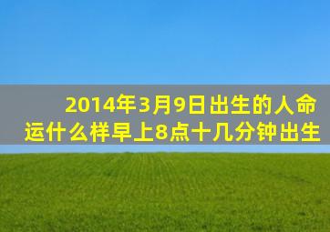 2014年3月9日出生的人命运什么样早上8点十几分钟出生