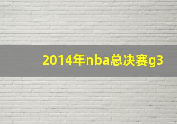 2014年nba总决赛g3