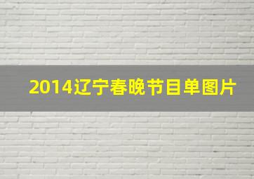 2014辽宁春晚节目单图片