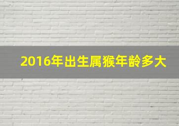 2016年出生属猴年龄多大