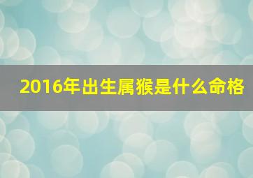 2016年出生属猴是什么命格