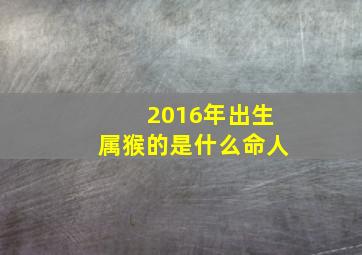 2016年出生属猴的是什么命人