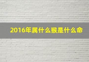 2016年属什么猴是什么命