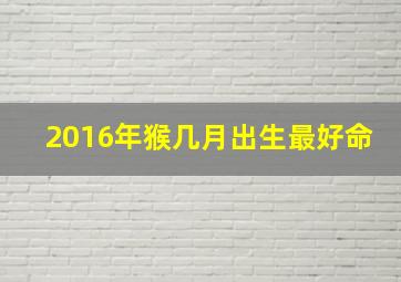 2016年猴几月出生最好命