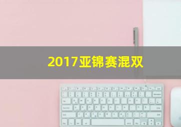 2017亚锦赛混双