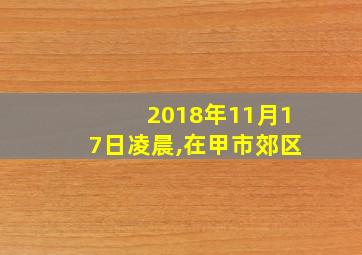 2018年11月17日凌晨,在甲市郊区