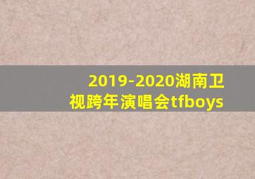 2019-2020湖南卫视跨年演唱会tfboys