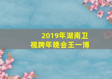 2019年湖南卫视跨年晚会王一博