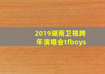 2019湖南卫视跨年演唱会tfboys